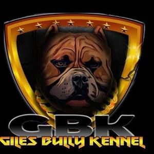 Meet your Posher, Randy